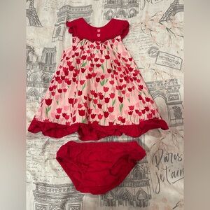 Gymboree 2012 Tulip Dress with bloomers 12-18 mos